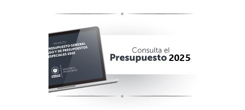 Seg2-consultaPresupuesto (no description) 
